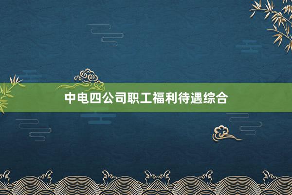 中电四公司职工福利待遇综合